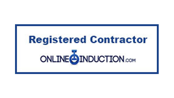 Online Induction